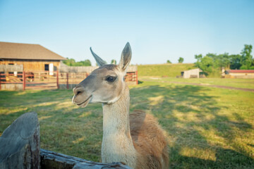 Kudykina Gora Nature Park in the Lipetsk region in Russia