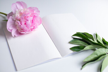 pink peony mockup with withe notebook sheets on white background