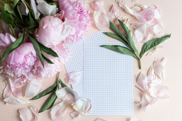 Fototapeta na wymiar pink peony mockup with paper sheets on pink background