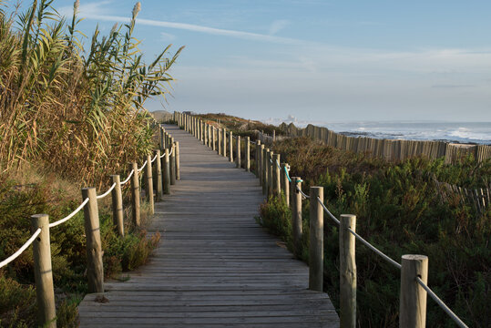 Passeio-mar&iacute;timo em Vila Nova de Gaia