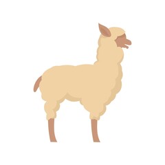Lama icon flat isolated vector