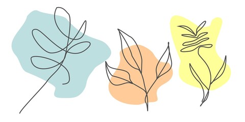 Linear art. A line and a spot. Colored spots. Plants drawn with a line. The modern style of drawing is flat. Backgrounds and banners. Cards and invitations. Cover. Application. The picture is simple. 