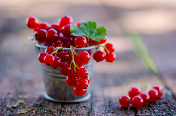 Red currant branches in a bucket on a wooden table on a blurry background