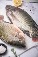 Peixe fresco