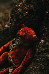 vintage red plush teddy bear in the woo