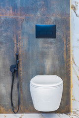 Toilet in the bathroom. Public or private toilet at home, airport, restaurant or cafe.