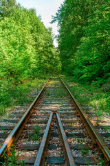 Abandoned railway tracks in the forest.