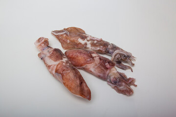 photographs of frozen seafood of all kinds and variety