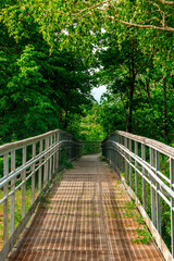 Obraz premium Stairs in the forest in the mountains. Beautiful natural landscape of Russia near the Volga River.
