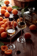 Apricot liquor with fresh fruits.
