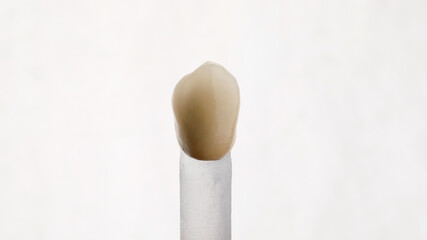 ceramic dental crown canine on white background