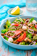 Vegetable salad with roasted champignons and mozzarella cheese