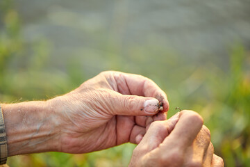 Close-up photo of male hands putting worm on fishing rod, preparing for catching fish. fishing, hobby, leaisure time in nature concept. copy space