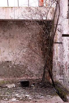 old lost fabric