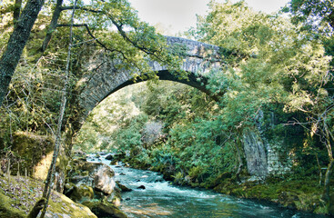 Fototapeta na wymiar Puente romano de Segade sobre el río Umia en Galicia, España