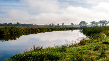 Lato w Dolinie Narwi, Podlasie, Polska