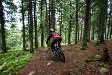 A mountain bike rider rides a trail in a mountain forest. Forest in the mountains with a trail. Cyclist in a helmet on a bike