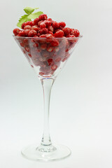 Fresh wild strawberry in a martini glass against light background