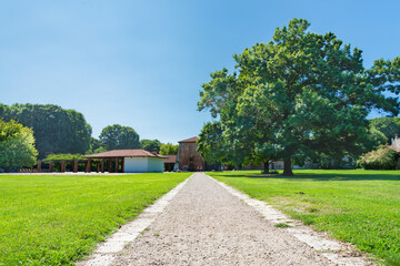 Dirt road leading to a farm in the rural countryside outside Milan, Italy. Green meadows on both sides and green trees. Blue sky on the background.