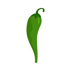 Spice chili pepper icon flat isolated vector