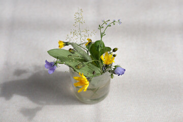 Wild flowers are arranged in a glass vase, with sunlight and shadows. A child's floral art with purple, yellow, blue and green colors on a beige background.	
