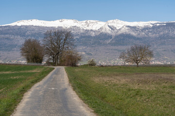 Fototapeta premium Campagne Genevoise, Satigny 