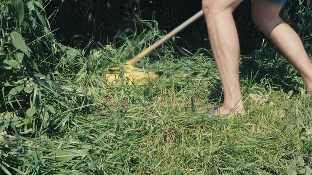 Amateur man cutting grass by petrol brushcutter or grass trimmer with star-shaped three steel knife blades and grass deflector. Garden or agricultural tool used to trim weeds. Hand held brush cutter