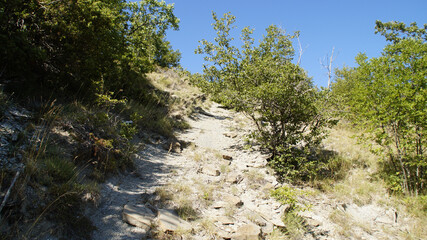 Fototapeta na wymiar Rocce lungo il sentiero 390bis da Villa di Parchiule a Poggio dell'Appione in Italia