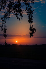 Fototapeta premium The summer sun rising behind the birch tree. Tree silhouette against the morning sky. Summertime scenery of Northern Europe.