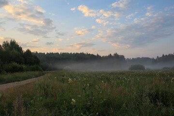 Fototapeta na wymiar Summer morning fog before dawn