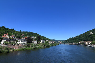 Fototapeta na wymiar Neckarufer in Heidelberg im Sommer