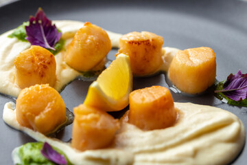 Scallops in creamy sauce on black plate