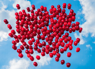 Ripe cherries on a mirror glass with a reflection of the sky.