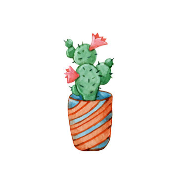 Succulent plant, greenery cactus, tropical plants, dew drops in a ceramic ethnic pot. Hand drawn watercolor illustration isolated, white background close-up. Indoor plants in pot