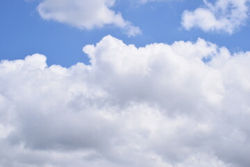 Obraz premium Cotton Balls