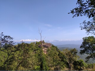 Obraz premium tree in the mountains