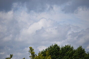 Obraz premium White Over Green