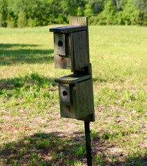 The double wood box birdhouse in the field at the park.