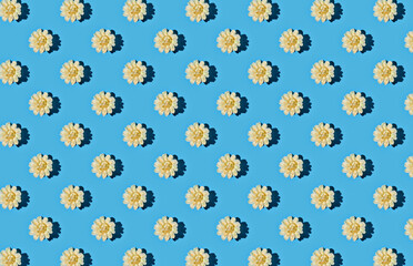 Pattern of white roses on blue pastel background