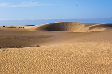 Low Evening light on the sand dunes