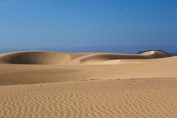 sand dunes in the desert