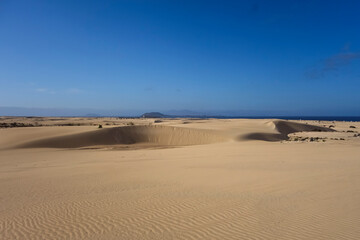 Low light on the sand dunes