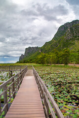 Sam Roi Yot Freshwater Marsh, Walk over the marsh, Bueng Bua Wood Boardwalk in Sam Roi Yot national park in Prachuap Khiri Khan, Thailand