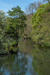 Fototapeta na wymiar The River Wye at Monsal Dale in the Peak District, Derbyshire