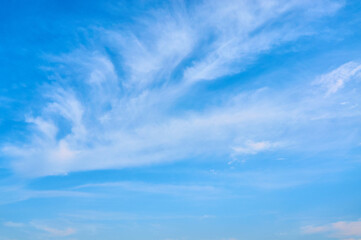 Feather clouds in the blue sky