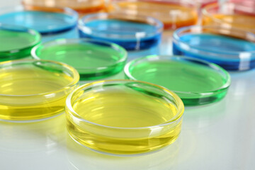 Petri dishes with colorful liquids on white table, closeup