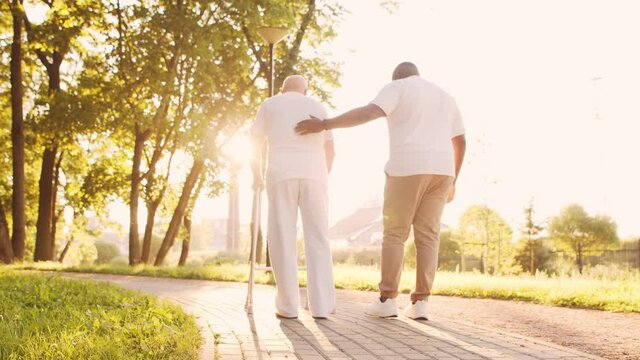 African-American caregiver is teaching disabled old man to walk with walker. Professional nurse and handicapped patient in the park. Assistance, rehabilitation and health care. Golden hour sunset.