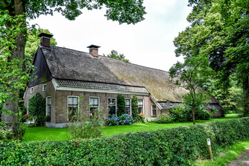 Fototapeta premium Typical old Dutch farmhouse in Drenthe. Netherlands, Holland, Europe