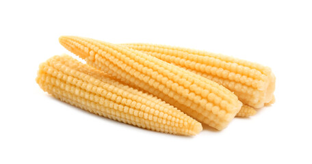Fresh baby corn cobs on white background