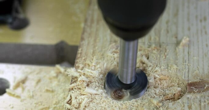 Carpenter drilling partial hole in woodcut using cordless drill - screwdriver and forstner drill bit, close-up